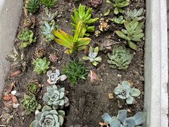 -阿马蛋汤·宁波小海鲜(总店)