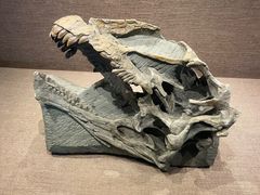 -自贡恐龙博物馆