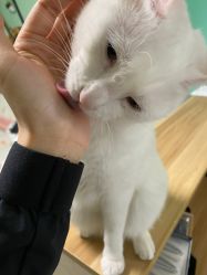 -齐伽生活馆·瑜伽·普拉提·阿育吠陀