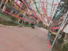 -凤凰欢乐大世界