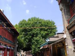 -古文化街旅游区