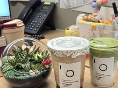 -宝藏绿洲(万象前海店)