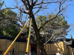 -无锡惠山寺