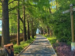 -东湖落雁景区