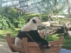 -鄂尔多斯野生动物园