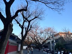 -北京国子监胡同