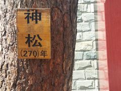 -青岩寺风景区