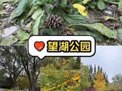 -望湖公园