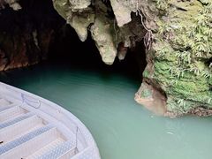 -怀托摩萤火虫洞