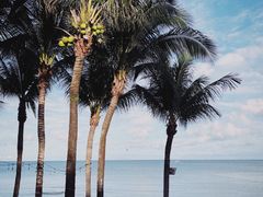 -富国岛翡翠湾 JW 万豪度假酒店