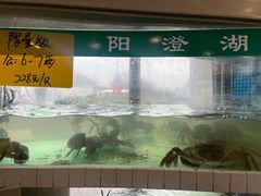 -品鲜村农家菜·阳澄湖大闸蟹(总店)