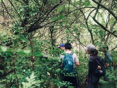 -鸡枕山