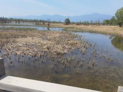-野鸭湖国家湿地公园