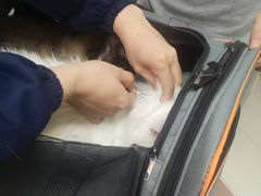 -利又安动物医院··老年病·猫科犬科·中兽医