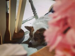 -艾蜜西餐厅(梅园店)