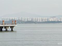 -深圳湾公园(南山区)