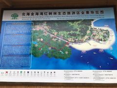 -北海金海湾红树林生态旅游区