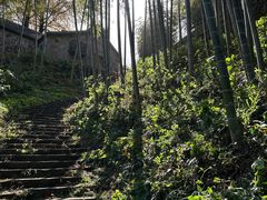-莫干山风景区