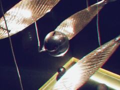 -辉哥火锅(虹桥路店)