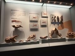 -湖南省地质博物馆