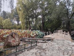 -近春园遗址