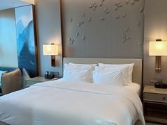 -无锡丽笙精选酒店