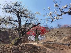 -南山特攻真人CS户外露营轰趴拓展基地