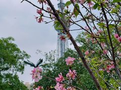 -文华公园(禅城区)