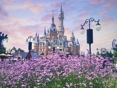 -上海迪士尼度假区