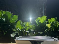 -木屋烧烤(惠阳华润小径湾店)