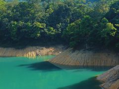 -广州市流溪河国家森林公园