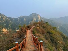 -大岭沟猕猴桃谷风景区