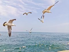 -大连海昌东方水城