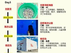 -巧克力渔家.小船海鲜胶东菜(万平口店)