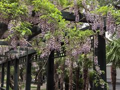 -北京市劳动人民文化宫(太庙)