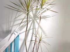 -筵语时尚餐厅(海运堤店)