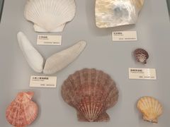 -天津古林古海岸遗迹博物馆