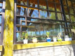 -三忘湖 SWANSEEN(柳荫公园店)