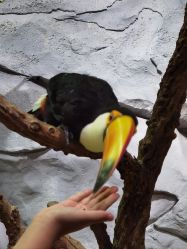 -Zoolung Zoolung动物主题公园(海信广场店)