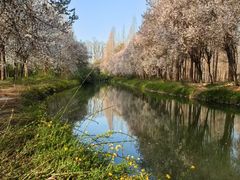 -洛阳市隋唐城遗址植物园