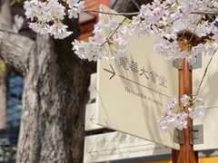 -龙华寺