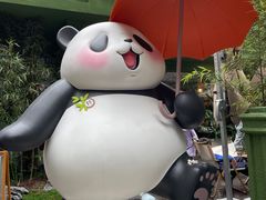 -轩客会(熊猫书店)