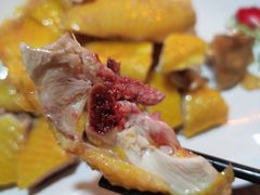 -食德喜·阳山鸡王食研基地