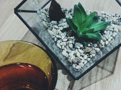 android_upload_pic-柴务处·柴犬主题狗咖