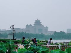 -莲花池公园
