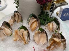 -鲐赏河豚(长寿店)