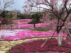 -棒棰岛宾馆景区