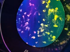 -成都浩海立方海洋公园