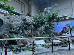 -国家自然博物馆