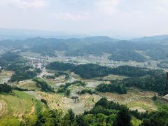 -紫鹊界梯田景区